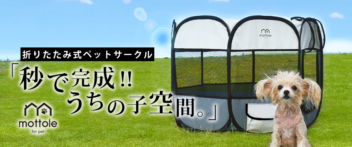 /cabinet/mottole_new/mail/ptl-z002_1200.jpg