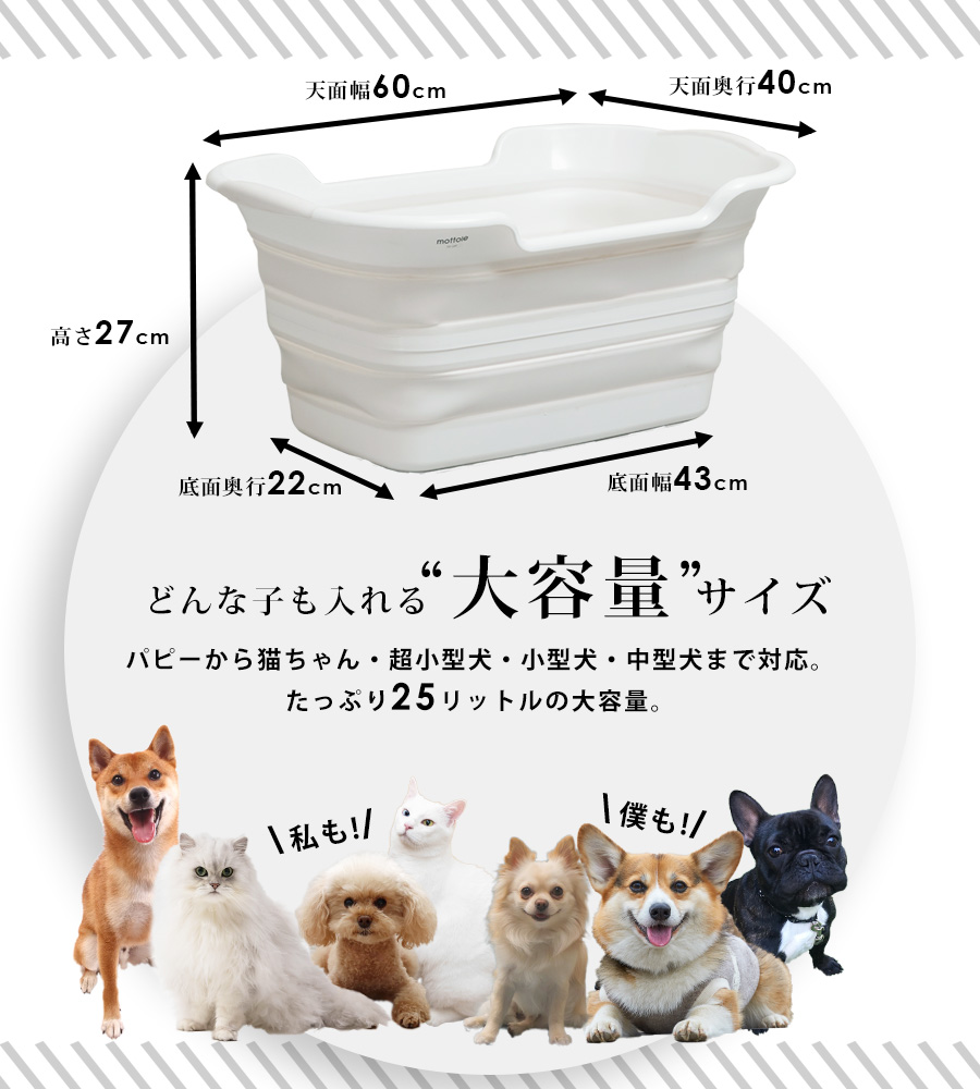 PTL-Z001 ペットバスタブ 排水栓付 送料無料 mottole 犬 お風呂 PTL-Z001 ペットバスタブ 排水栓付 送料無料 mottole 犬 お風呂
