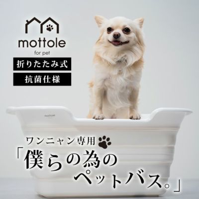 ペット用品 | mottole公式サイト