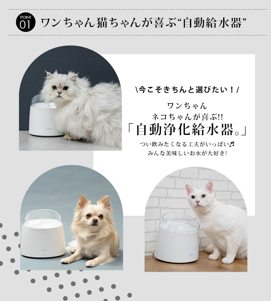 Ptl E008 自動給水器 1 5l ペット Mottole公式サイト