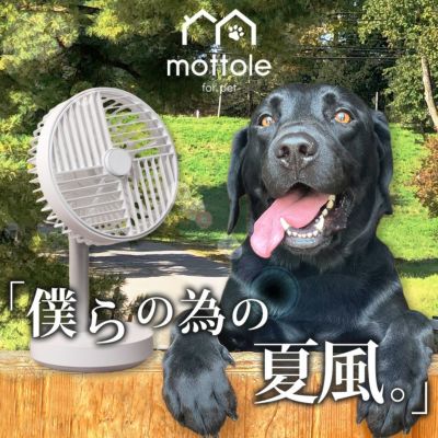 ペット用品 | mottole公式サイト