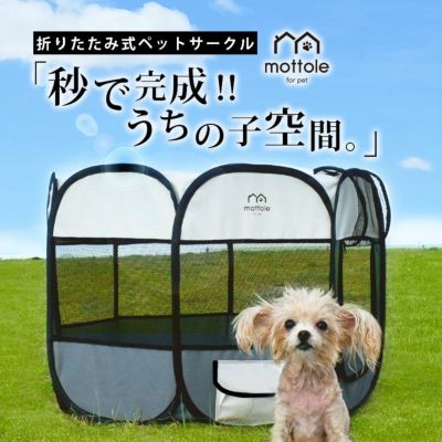 ペット用品 | mottole公式サイト